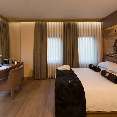 ホテル Saint Sophia 4*