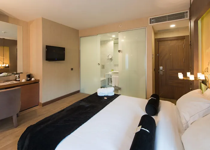 Saint Sophia اسطنبول