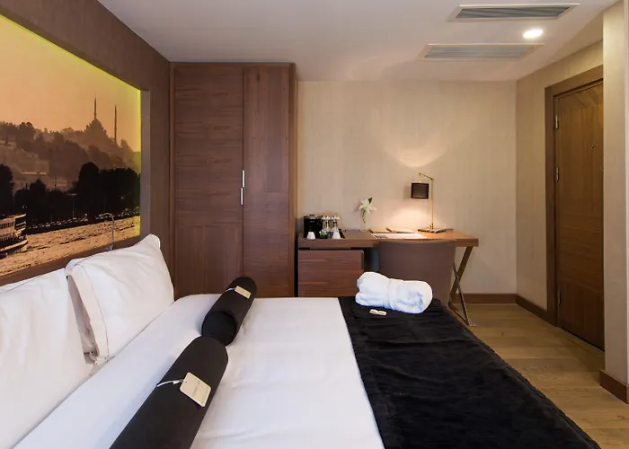 فندق Saint Sophia 4*